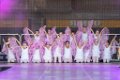 WP2019 DC 280